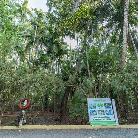 Coconut Beach Farm อลีบาก ภายนอก รูปภาพ